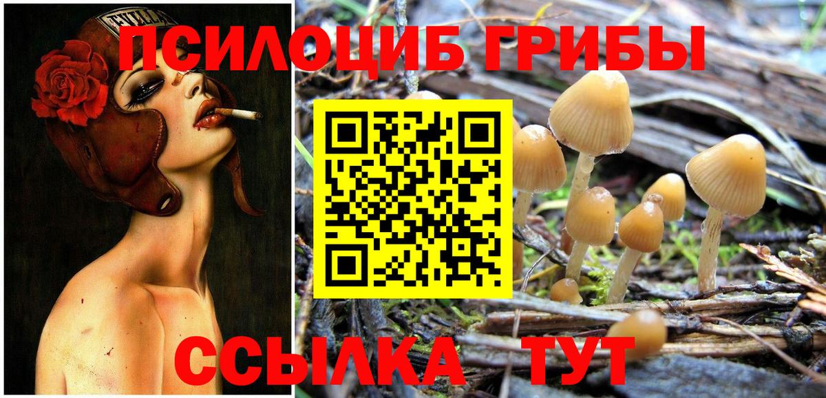 Псилоцибиновые грибы мухоморы Шарыпово